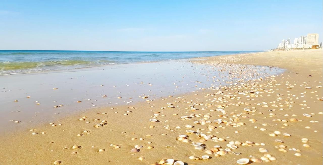 Hotel Apartment Short Term Tel Aviv Bat Yam 353 Dış mekan fotoğraf